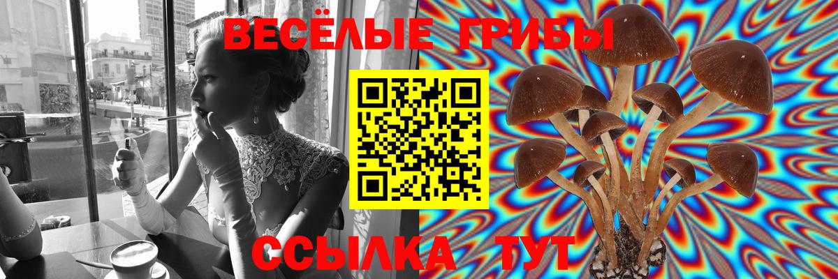 Галлюциногенные грибы GOLDEN TEACHER  Вход с VPN  Ачинск 